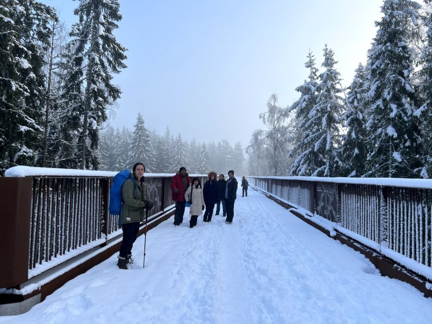 From Helsinki: Hike and Sauna in Sipoonkorpi National Park - Should you book the Sipoonkorpi hike and sauna?