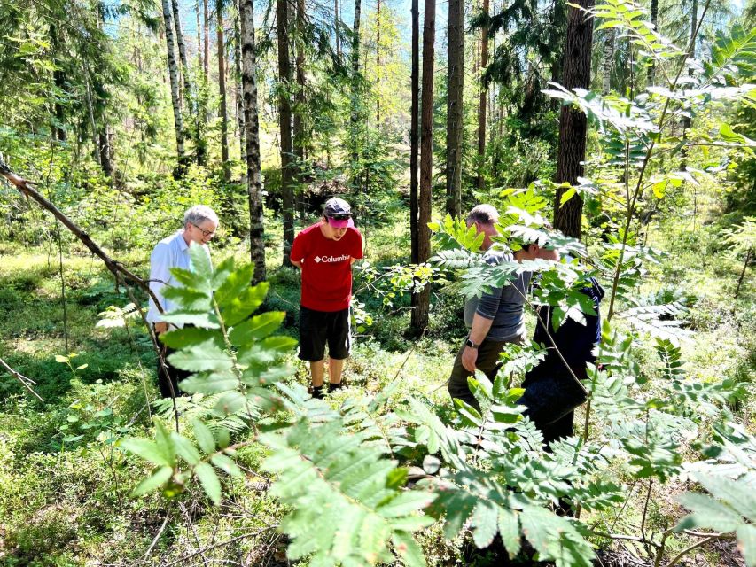 From Helsinki: Hike and Sauna in Sipoonkorpi National Park - From Kiasma to Sipoonkorpi by van