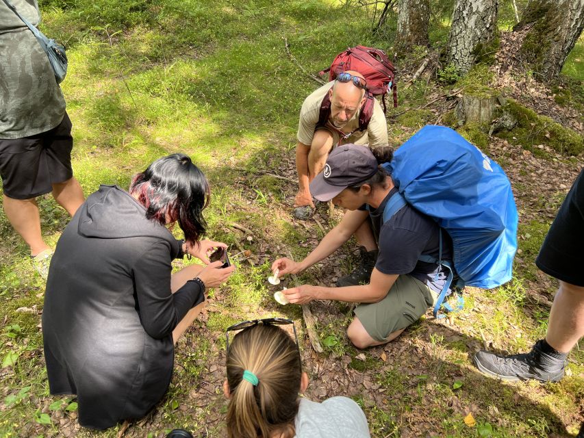 From Helsinki: Hike and Sauna in Sipoonkorpi National Park - Kuusijärvi and the Finnish smoke sauna