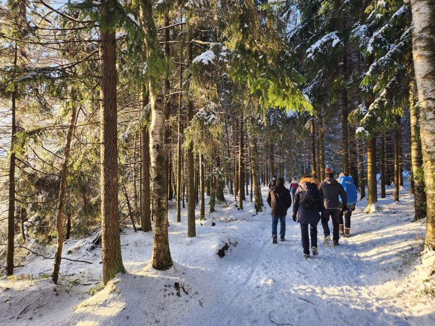 From Helsinki: Hike and Sauna in Sipoonkorpi National Park - What $194 includes, and what it does not
