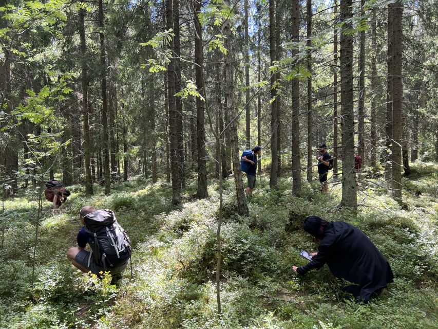 From Helsinki: Hike and Sauna in Sipoonkorpi National Park - A relaxed 6-kilometer walk through the taiga