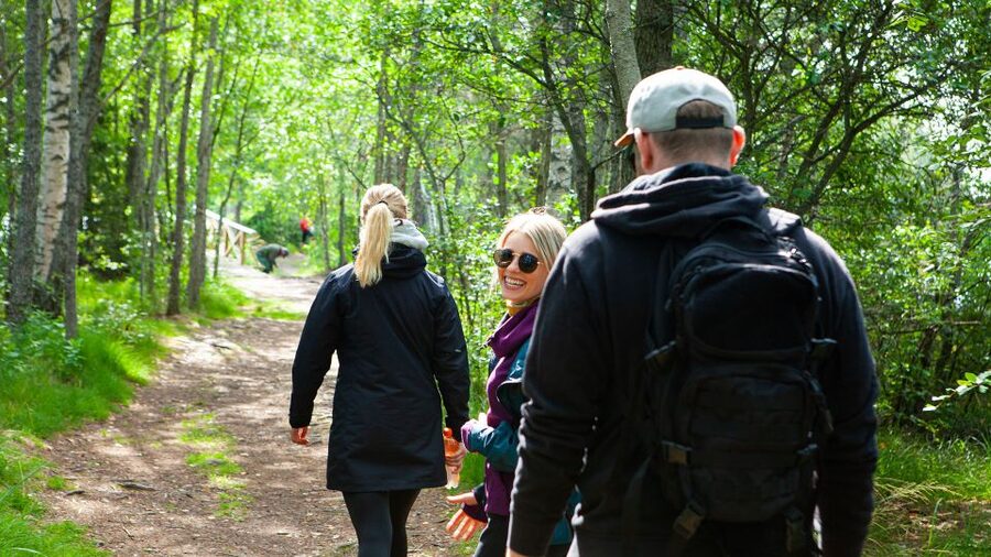 From Helsinki: Magical Taiga Hike in Liesjärvi National Park - The first two hours on the forest trail