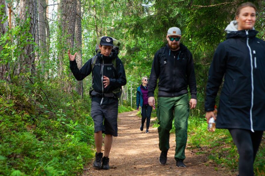 From Helsinki: Magical Taiga Hike in Liesjärvi National Park - A lakeside lunch cooked over the day’s outdoor spirit