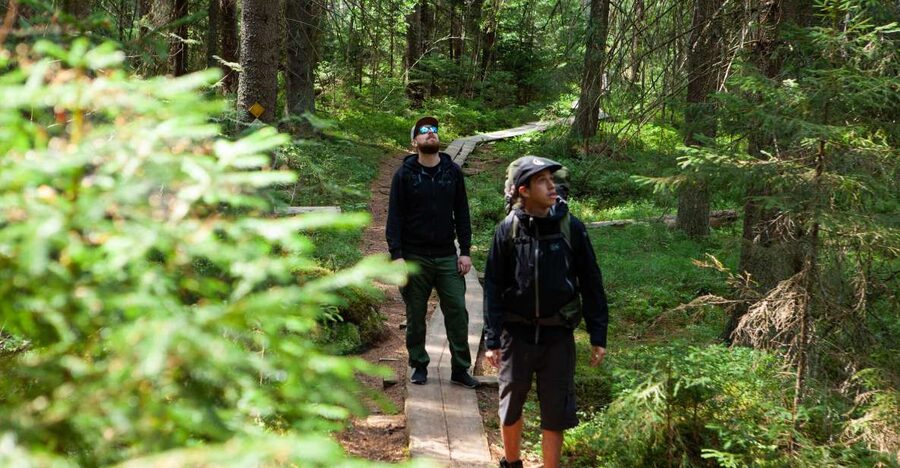 From Helsinki: Magical Taiga Hike in Liesjärvi National Park - Who will enjoy this experience most?