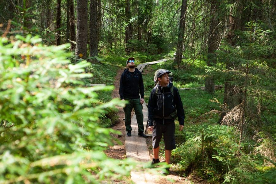 From Helsinki: Magical Taiga Hike in Liesjärvi National Park - Meeting the Taiga Times van at Kiasma