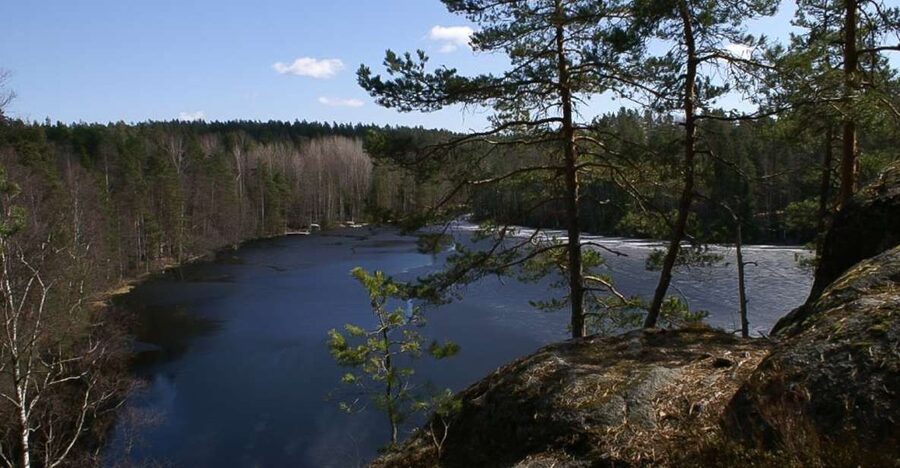 From Helsinki: Nuuksio National Park Half-Day Trip - Entering Nuuksio’s spruce forest