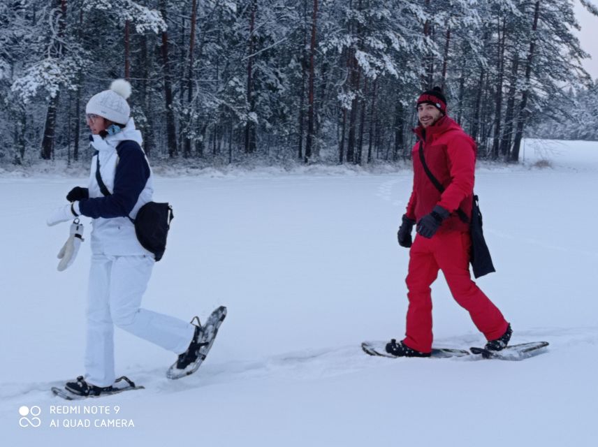 From Helsinki: Nuuksio National Park Hiking Tour with Food - David’s plant and wildlife stories