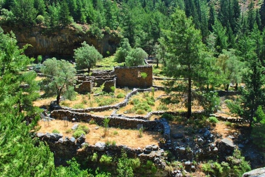 From Heraklion: Samaria Gorge & Agia Roumeli Hiking Day Trip - Should You Book the Samaria Gorge Day Trip?