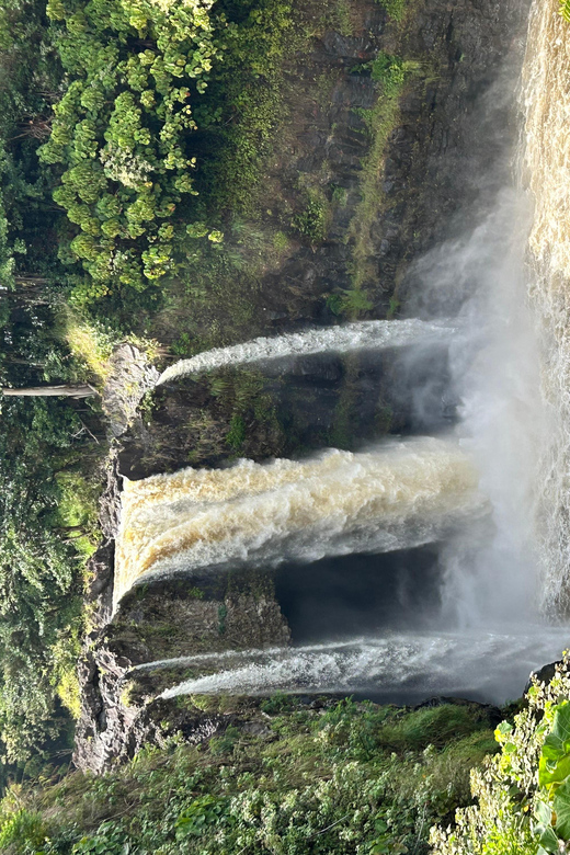 From Hilo: Hawaii Volcanoes National Park Tour - Who should book this volcano tour?