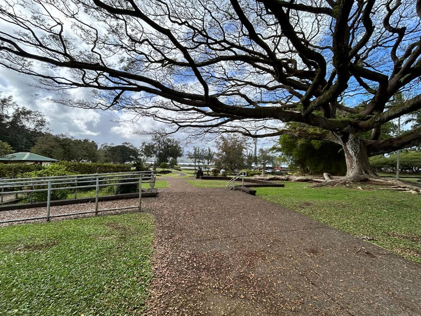 From Hilo: Hawaii Volcanoes National Park Tour - Why this five-hour Hilo tour works