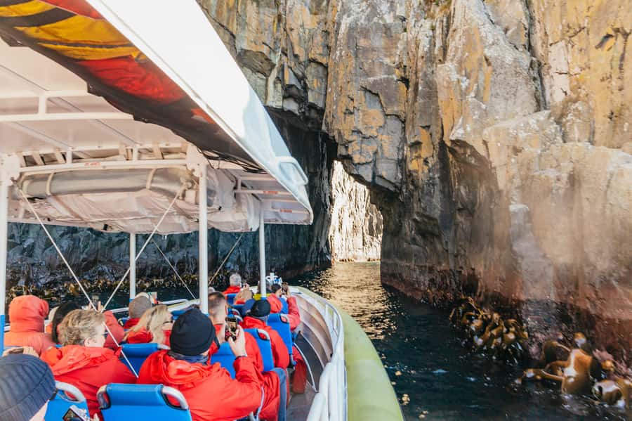 From Hobart/Adventure Bay: Bruny Island Wilderness Cruise - Bruny Island’s wild southern coast