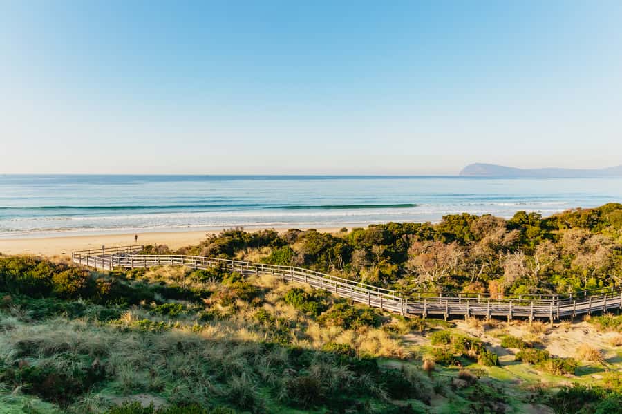 From Hobart/Adventure Bay: Bruny Island Wilderness Cruise - Final verdict: book it for the coast, not a guaranteed sighting