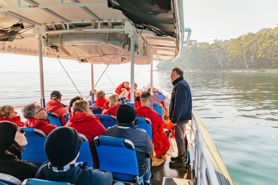 From Hobart/Adventure Bay: Bruny Island Wilderness Cruise - Starting at Adventure Bay or from Hobart