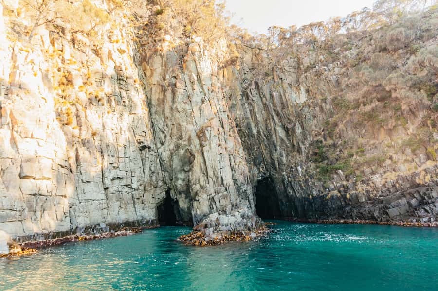 From Hobart/Adventure Bay: Bruny Island Wilderness Cruise - Wildlife at The Friars