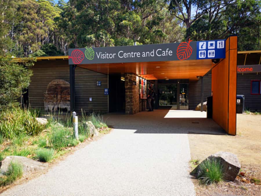 From Hobart: Mt. Field National Park and Russell Falls - From Hobart to the Derwent Valley