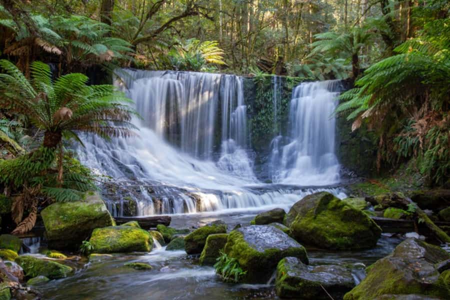 From Hobart: Mt. Field National Park and Russell Falls - Entering Mt. Field National Park
