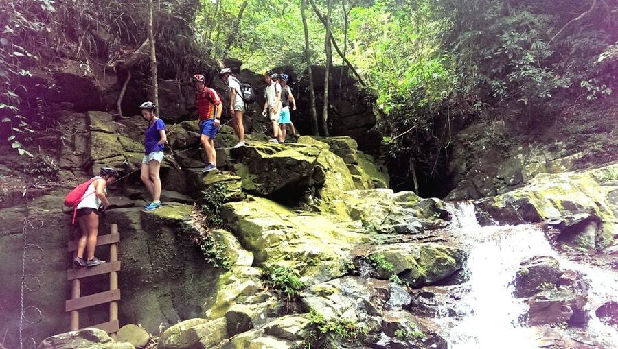 From Hue/Da Nang/Hoi An: Bach Ma National Park Trekking Tour - The day begins with an early ride to Bach Ma