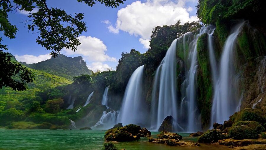 From Hue/Da Nang/Hoi An: Bach Ma National Park Trekking Tour - Picnic lunch keeps the day simple