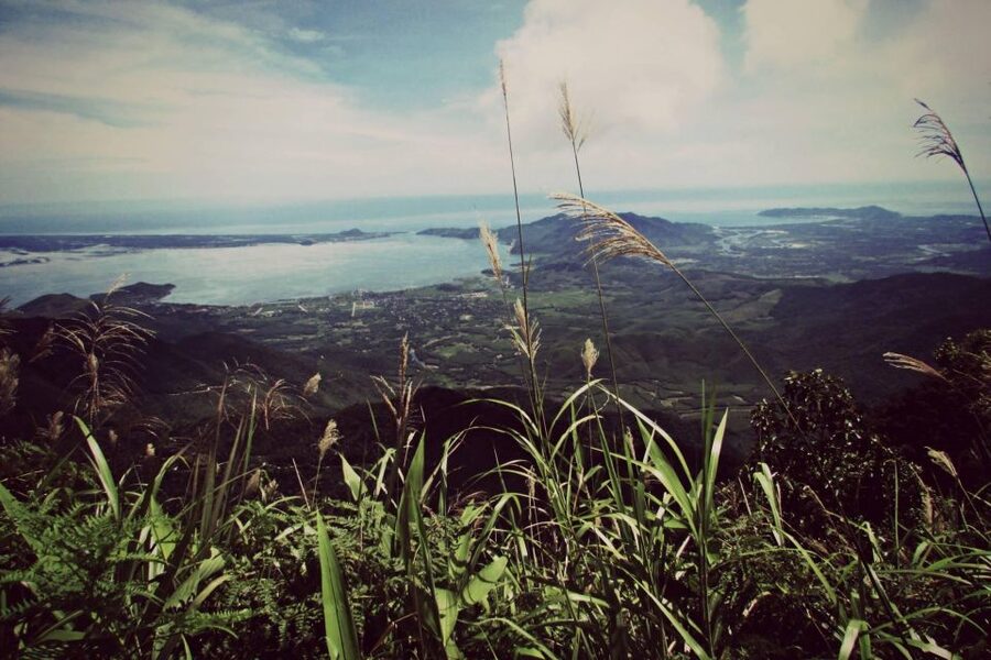 From Hue/Da Nang/Hoi An: Bach Ma National Park Trekking Tour - Hai Vong Dai Peak starts the walking day