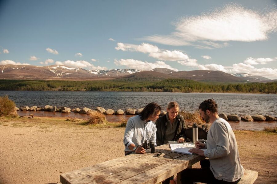 From Inverness: Cairngorms National Park and Whisky Tour - Key points to know before booking