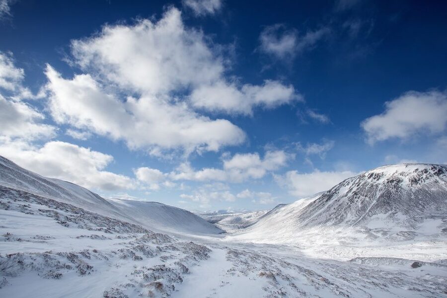 From Inverness: Cairngorms National Park and Whisky Tour - From Inverness to the Cairngorms