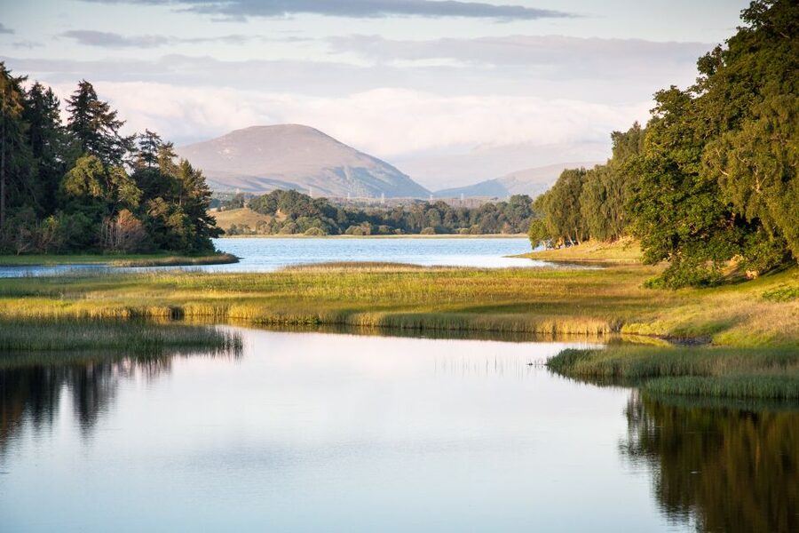 From Inverness: Cairngorms National Park and Whisky Tour - Glenmore Forest Park and Loch Morlich