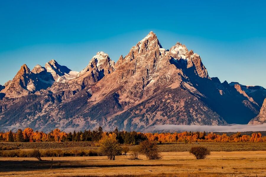 From Jackson: Half-Day Grand Teton National Park Tour - Key points to know