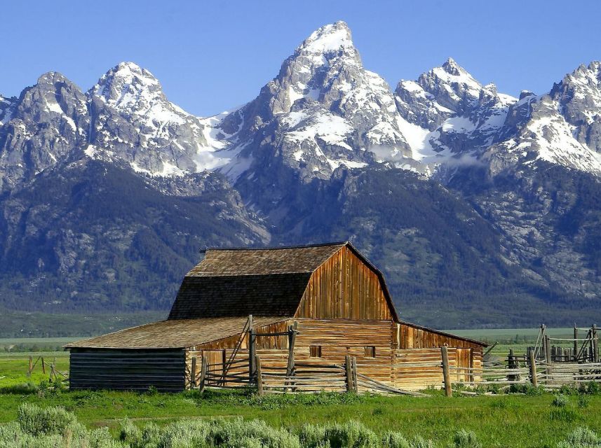 From Jackson: Half-Day Grand Teton National Park Tour - Mormon Row and the park’s working past