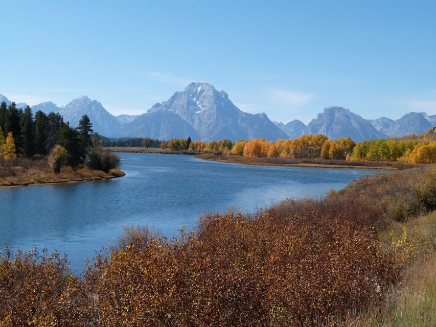 From Jackson: Half-Day Grand Teton National Park Tour - Signal Mountain and the broad view