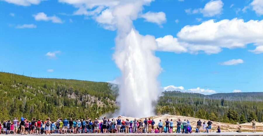 From Jackson: Yellowstone Day Tour Including Entrance Fee - Key points to know before booking