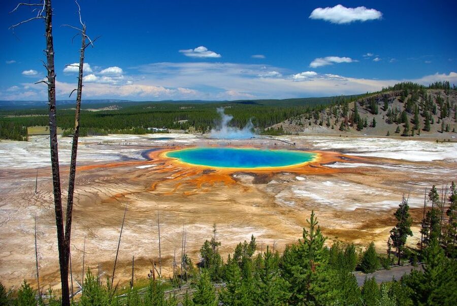 From Jackson: Yellowstone Day Tour Including Entrance Fee - What the guide adds to the experience