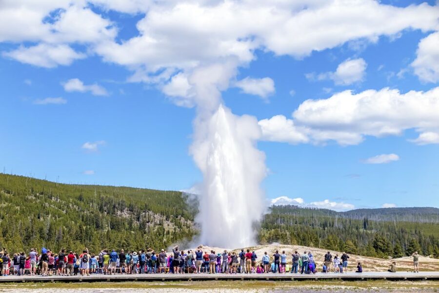 From Jackson: Yellowstone Day Tour Including Entrance Fee - Why this tour covers so much in one day