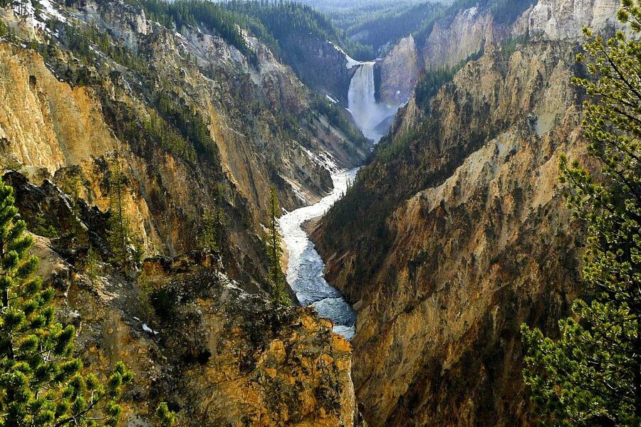 From Jackson: Yellowstone Day Tour Including Entrance Fee - Hayden Valley is the wildlife stretch