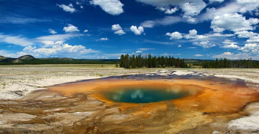 From Jackson: Yellowstone National Park Day Trip with Lunch - Key points to know before booking