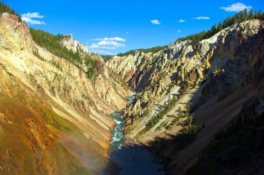 From Jackson: Yellowstone National Park Day Trip with Lunch - Van comfort, group size, and the pace of the day