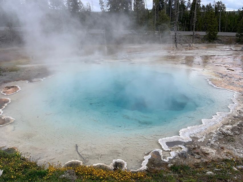 From Jackson: Yellowstone National Park Day Trip with Lunch - Why the Lower Loop works as a one-day introduction