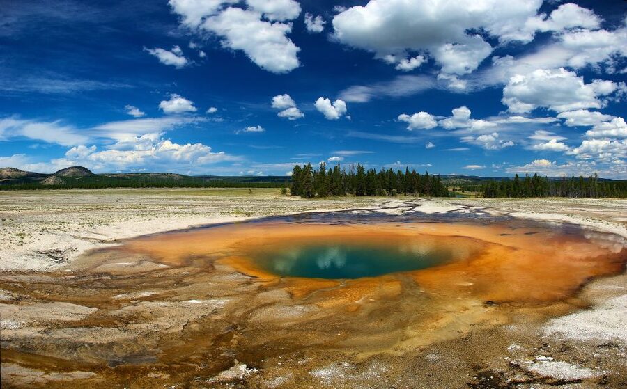 From Jackson: Yellowstone National Park Day Trip with Lunch - Geysers and boardwalks at the Upper Geyser Basin