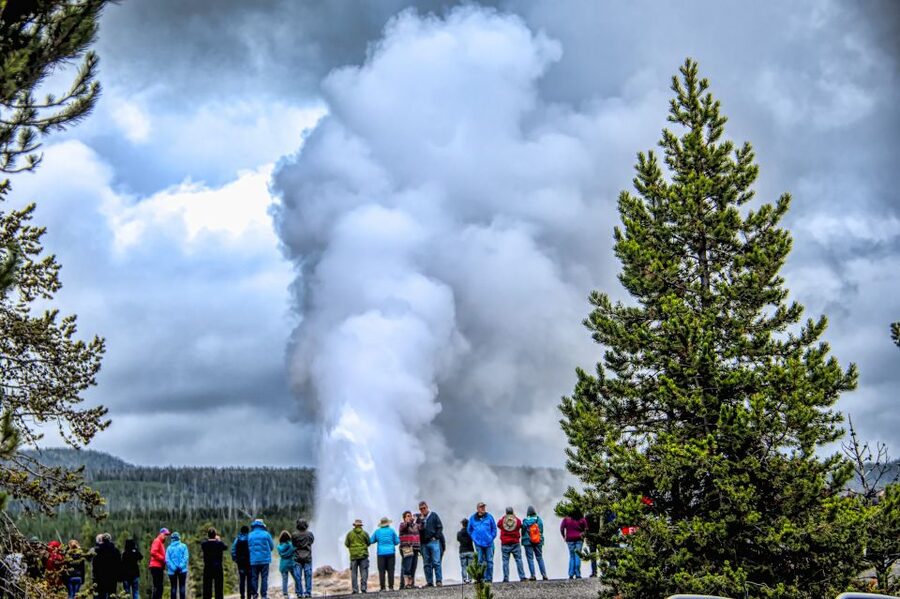 From Jackson: Yellowstone National Park Day Trip with Lunch - The Grand Canyon of the Yellowstone and Artist Point