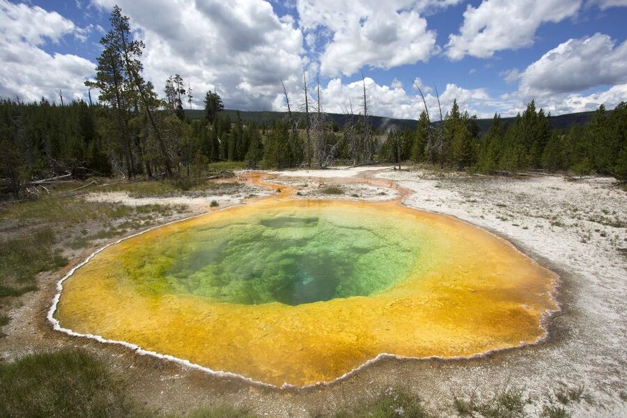 From Jackson: Yellowstone National Park Day Trip with Lunch - What lunch is like and what is included