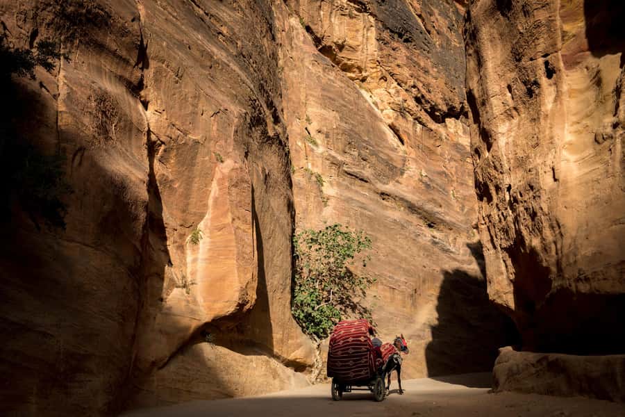 From Jerusalem: Petra and Wadi Rum 3-Day Tour - Madaba and Mount Nebo on the Way North