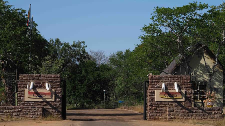 From Johannesburg: 2-Day Safari into Kruger National Park - Hazyview overnight: useful, but check the details