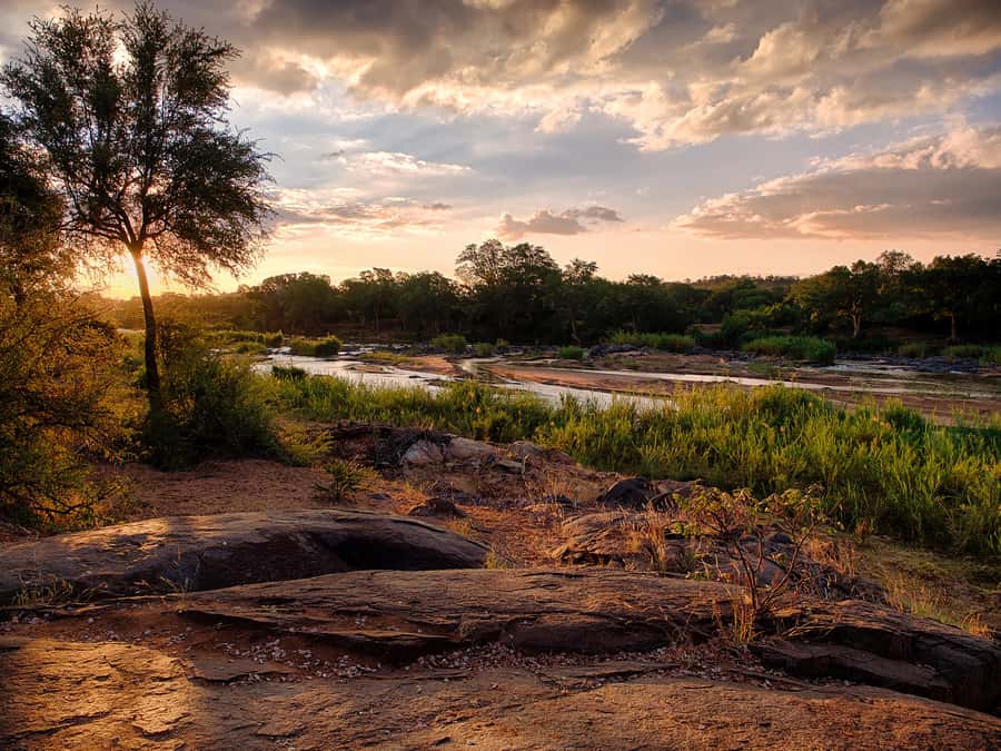 From Johannesburg: 3-Day Budget Tent Kruger Park Safari - Key points at a glance