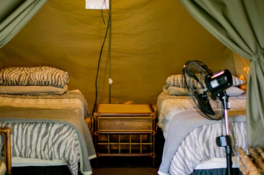 From Johannesburg: 3-Day Budget Tent Kruger Park Safari - What the $653 price really covers