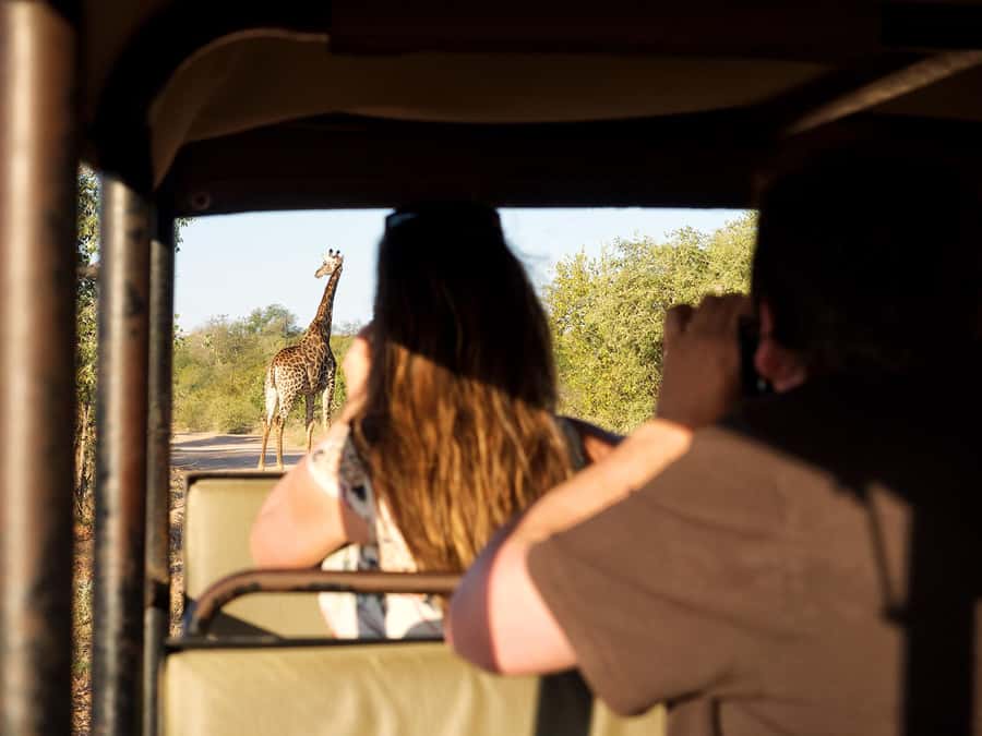 From Johannesburg: 3-Day Budget Tent Kruger Park Safari - Why this short safari works