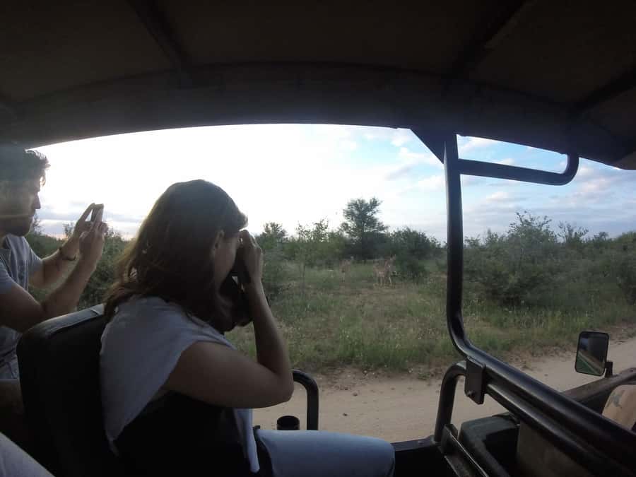 From Johannesburg: 3-Day Budget Tent Kruger Park Safari - Sunset on Balule, then a barbecue in the bush
