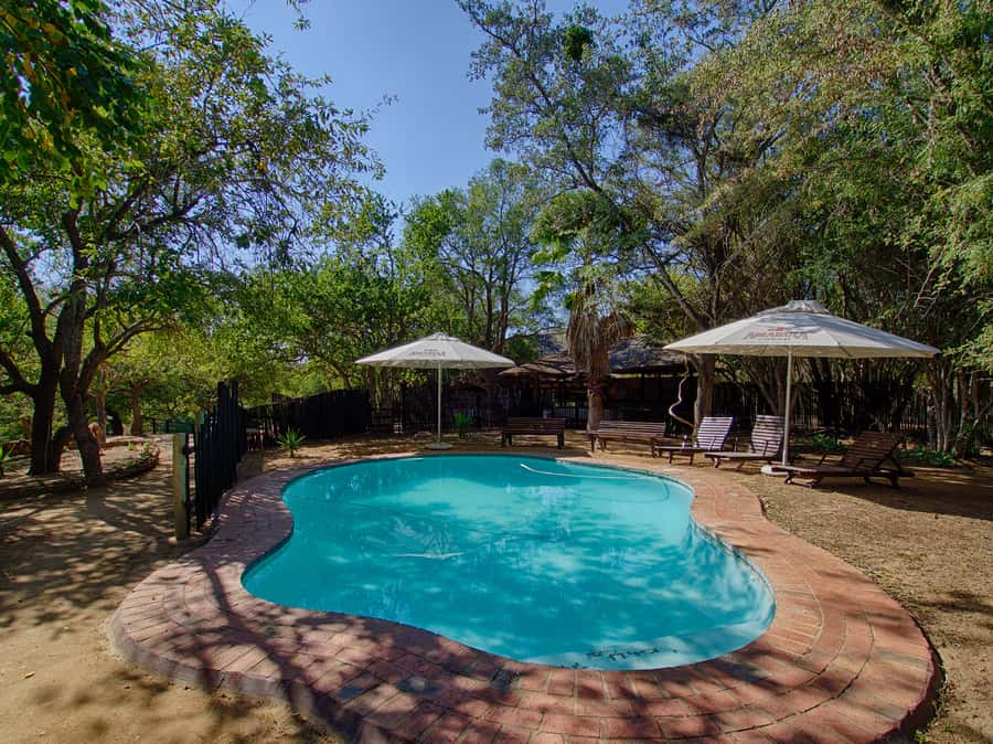 From Johannesburg: 3-Day Budget Tent Kruger Park Safari - Breakfast at Tremisana and the road to Orpen