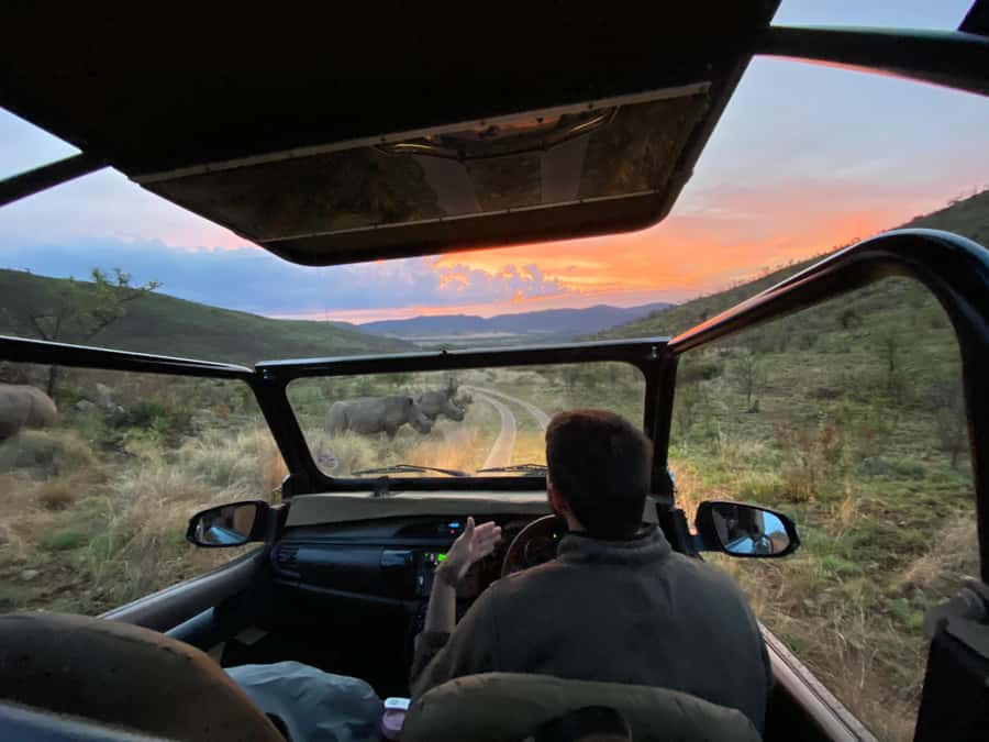 From Johannesburg: Pilanesberg Nature Reserve Game Safari - Why Pilanesberg works as a Johannesburg day trip
