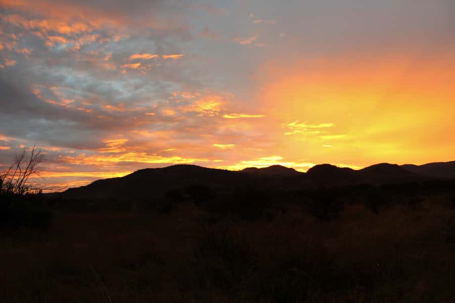 From Johannesburg: Pilanesberg Nature Reserve Game Safari - Price, extra fees, and overall value