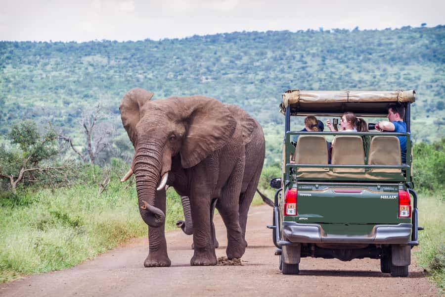 From Johannesburg: Pilanesberg Wildlife Safari - Why Pilanesberg works as a Johannesburg safari