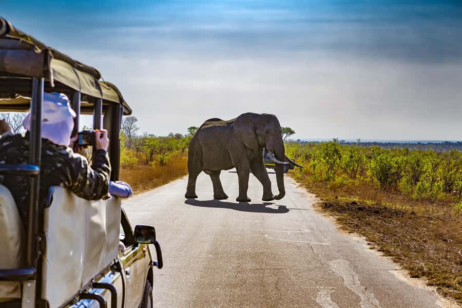From Johannesburg: Pilanesberg Wildlife Safari - Switching from van to safari vehicle